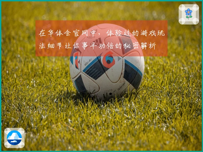 在华体会官网中，体验过的游戏玩法细节让你事半功倍的秘密解析