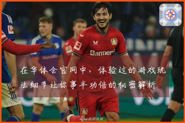 在华体会官网中，体验过的游戏玩法细节让你事半功倍的秘密解析